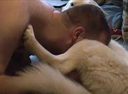 Men fucking dogs compilation jpg x Guy fucks dog pussy