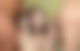 tokyohot大乱交|JJGirls Touch Tokyo Hot Sex Party 東熱大乱交 Gallery