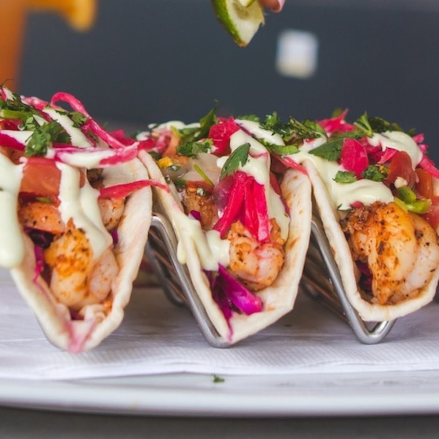 Sports & Social Dolphin Mall by null