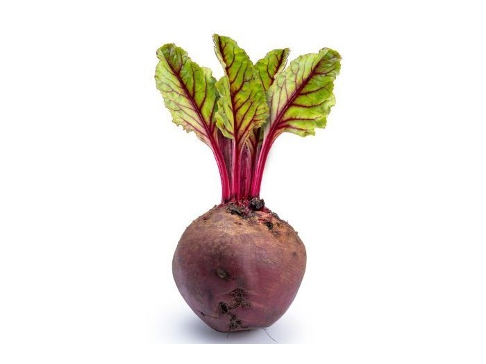 Sonoma Valley Fruit Basket by null