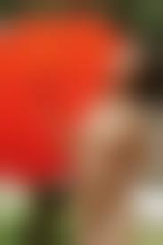 中国人ヌード|段ボールの壁にかなり細い中国人女性立ってヌードの写真素材・画像素材 Image 48540215