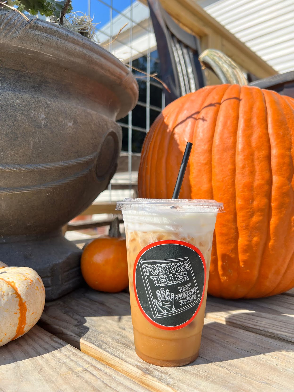 FORTUNE TELLER by null