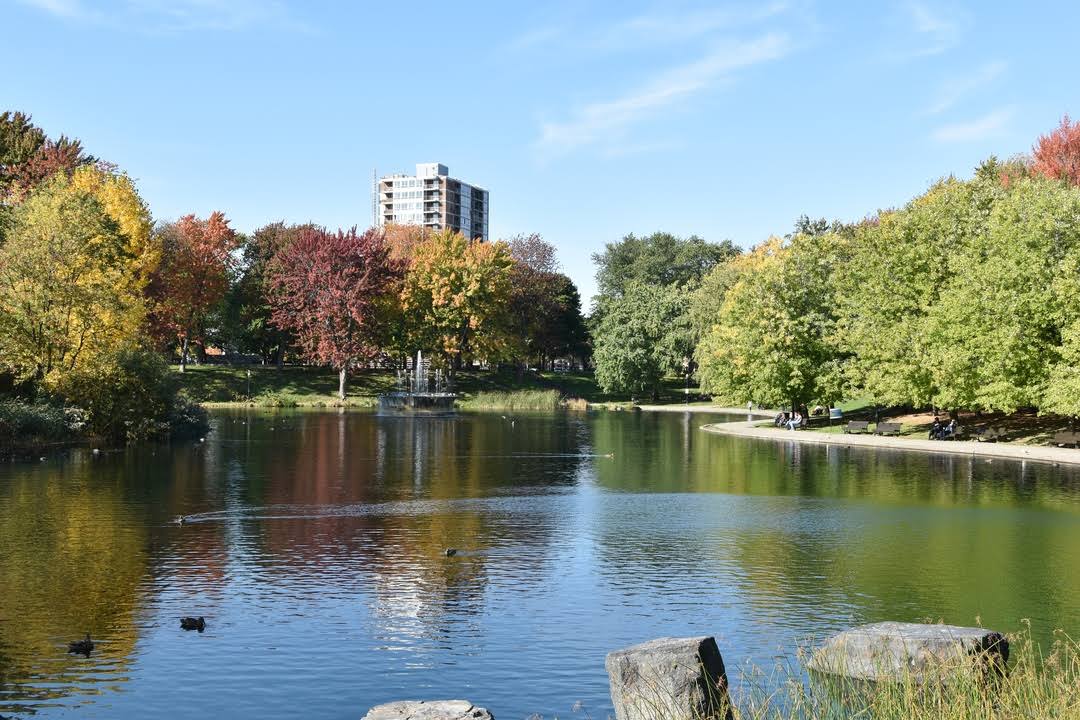 La Fontaine Park by null