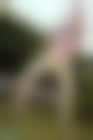 Lolly model ass|Skintightglamour Lolly Lovewell Noys Model Wifi yes porn pics xxx