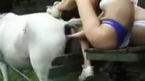 Man fucks mare gaybeast beastiality man madnessporn extrem sex jpg x Mare fucking