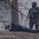 Ukraine crisis: What we know about the Kiev snipers