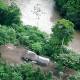 A Mother and Daughter's Quality Time in the Jungles of Ecuador - Wall Street Journal