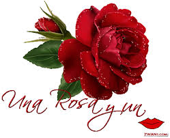 images?q=tbn:ANd9GcRBAJfDyEToIj_c8cKGnmPIKZz5PMLB9xI02ljWaWzRrTuTF_c&t=1&usg=__wFox_iqU9jLAPejB-pNtxHhO-jc=