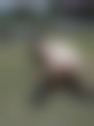 tumblr 変態野外露出|thumbs.pro : ronin-soul-leo: 綺麗な変態熟女妻野外露出撮影when pretty mature wife  outdoor，she dont like wear panty，because her pussy allways wet！