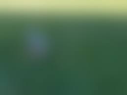 rajce.idnes.pee piss -1|Amateur Voyeur Forum - rajce.idnes.cz - czech photoalbum