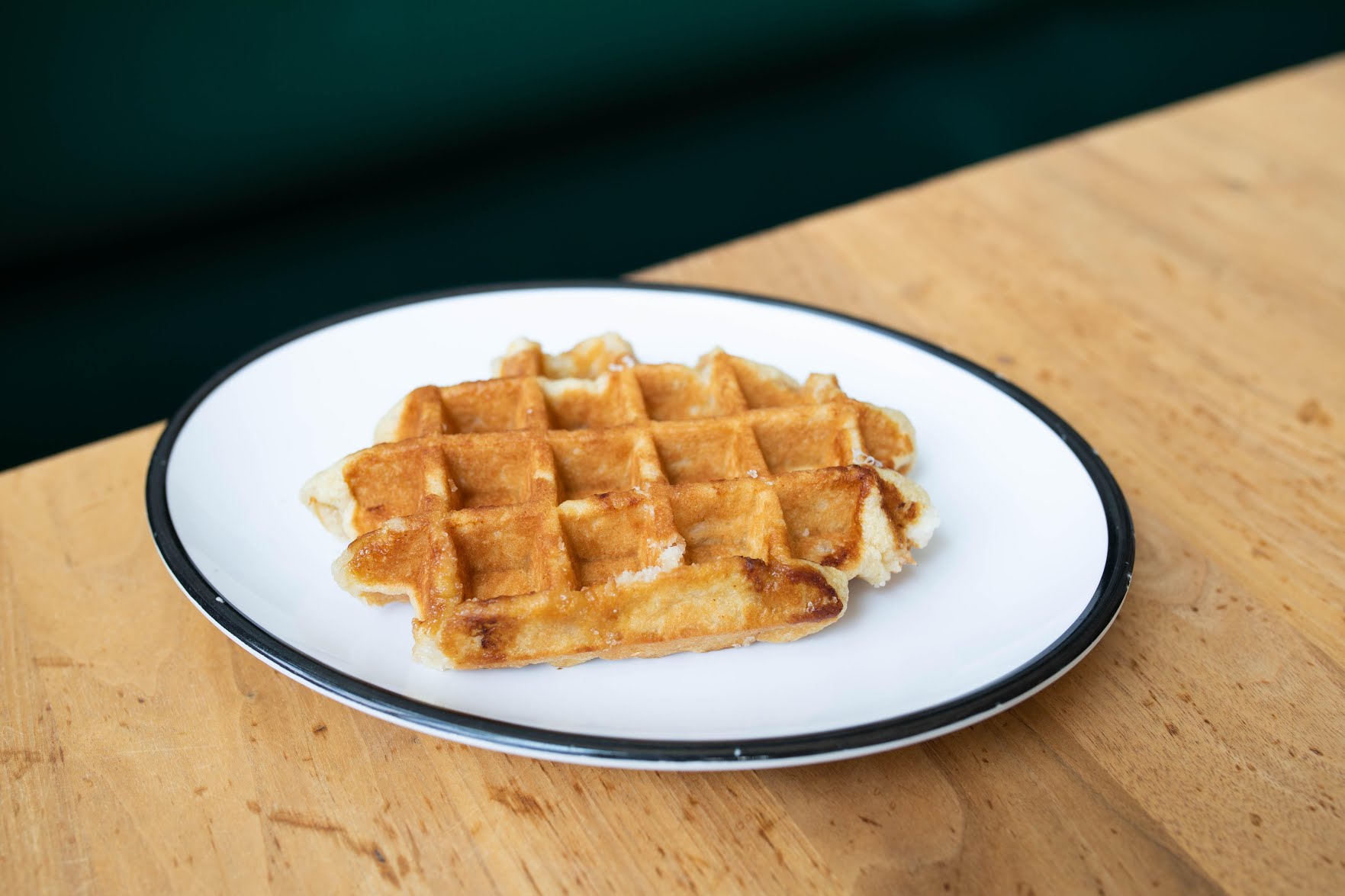 Shy Bird - South Boston by null