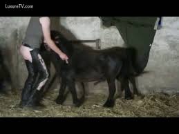 Pony horse fucking naughty woman zoofilia porn jpg x Pony fucking woman