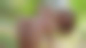 ukraina teen nude amateur|Teen Ukraine Porn Pics & Naked Photos - PornPics.com