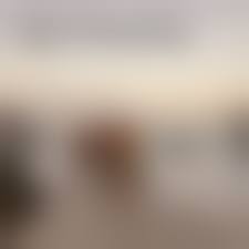 brazilian nudists|The nudists in San Francisco who saved the Brazilian tourist from a pirate  with a blow torch : r/BrandNewSentence