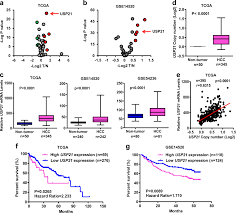 kim yuna nude fake |Ogura Yuna - NamuWiki