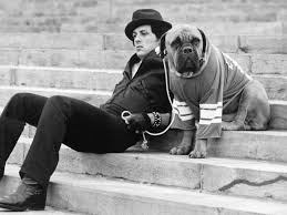 sylvester stallone jpg x 70s sylvester stallone
