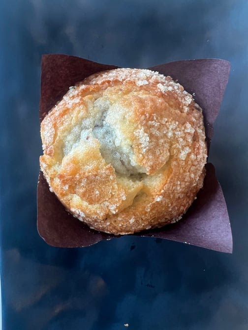 Bad Owl Coffee Roasters by null