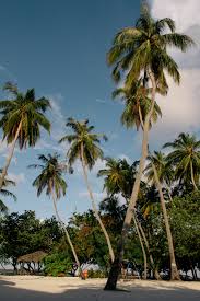 Himmafushi
