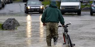 Alberta Flooding 2013: Price Gouging, Looting.