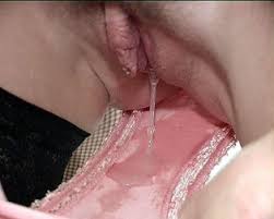 Velma dinkley panties wet panties pussy wet solo jpg x Wet pussy panties