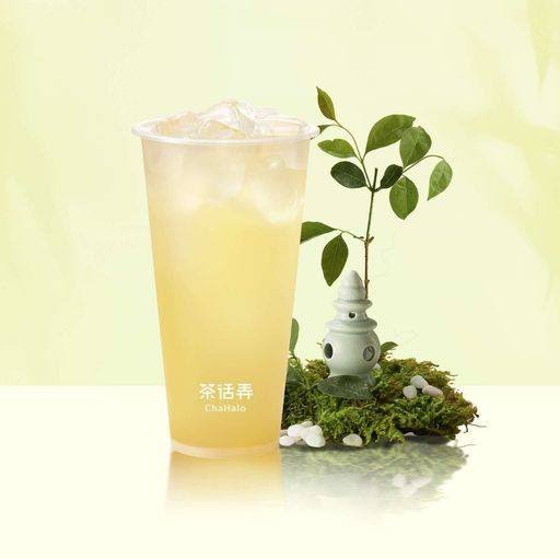 茶话弄Chahalo by null