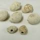 Evidence Found for Secret Terror Weapon of the Romans 