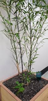 pacificgirls 1012 pussy|Spanking avエロ動画 | xHamster