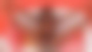 V開きオマンコ|