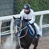 日曜メインレースの注目激走馬…東京１１Ｒ根岸ステークス・Ｇ３