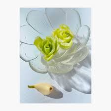 アイコラ 井上さゆり|八代亜紀