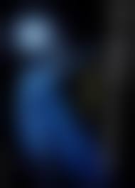 村主章江　乳首|女子フィギュア・村主章枝が初写真集で乳首解禁！先行ヌードが流出もネットの反応は…23 | GOSSIP!PHOTO-お宝画像&動画