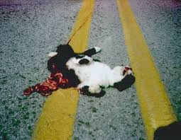 Заебали так называемые