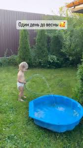 rajce.idnes.cz backyard 37|léto 2013 zahrada – Milada – album na Rajčeti