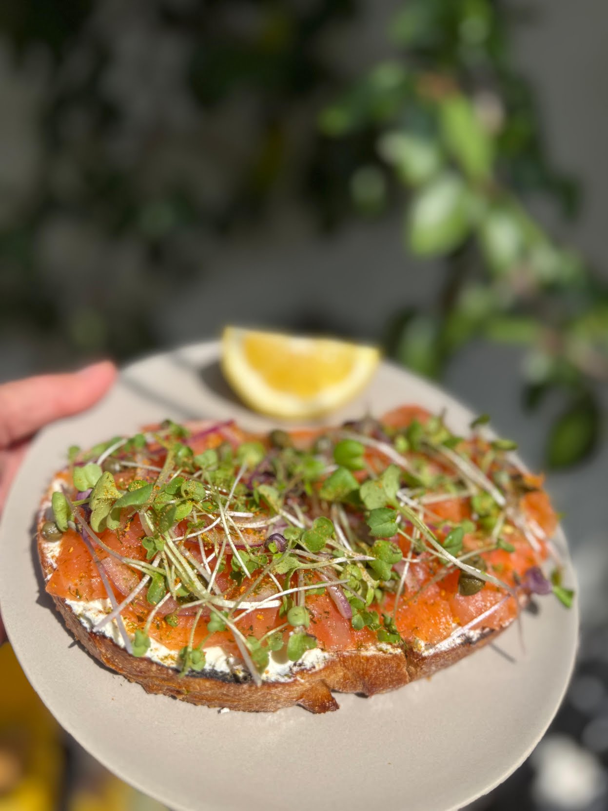 blossom and friends by null