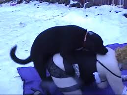 Teen fucked in the snow jpg x Fuck snow
