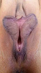 Webcam pussy porn reels nudes jpg x Pussy webcam