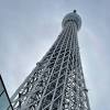 【日下部保雄の悠悠閑閑】東京スカイツリーと大相撲5月場所 ...
