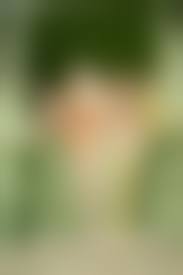 03 icdn.ru girl nude|Rosalin E Nude in Blue Jeans at Femjoy Hunter