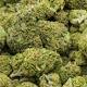 What Happens Next If Marijuana Ballot Question Passes 
