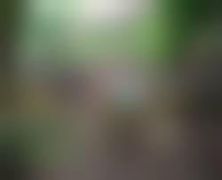  young pissing|Little Girl Peeing Stock Photos - Free & Royalty-Free Stock Photos from  Dreamstime