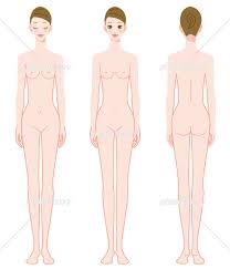 解剖 裸 女|胴体】のレポート ～ 海斗ＬＩＶＥセミナー | 美術解剖学モデル海斗