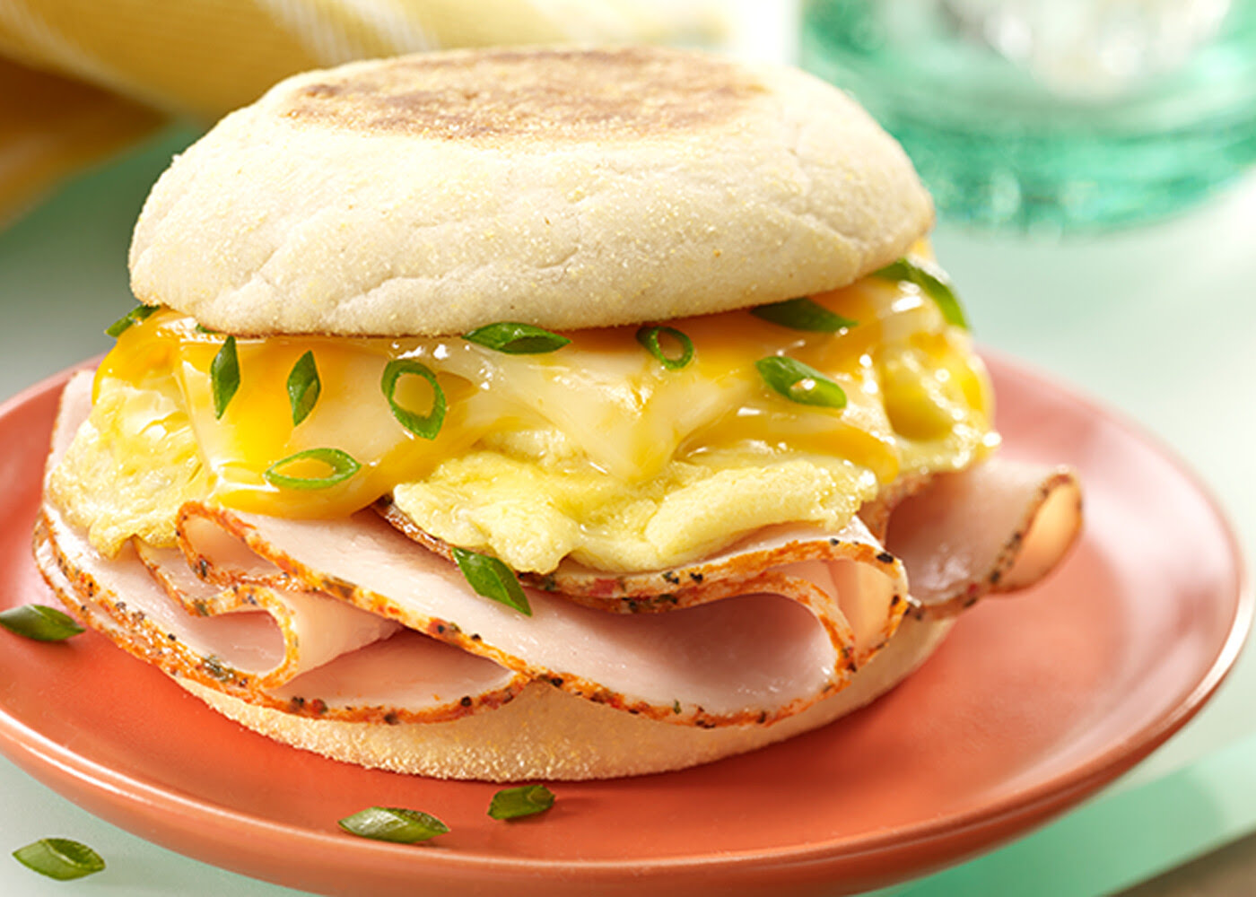 Healthy bites Gourmet corp by null