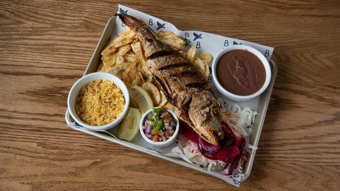 Blue Bird Latin Eatery by null