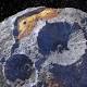 Why is NASA going to visit the giant metal asteroid 16 Psyche? 
