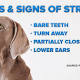 Dogs Hate Hugs, Study Suggests 