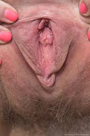 Hairy teen pussy close jpg x Hairy teen pussy close up