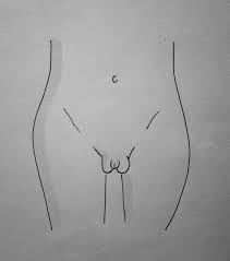 Vulva tube php x Vulva tube