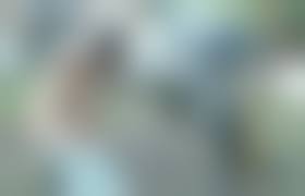 horse bestiality young|Skinny young teen bestiality newcomer blowing a horse in the barn - LuxureTV