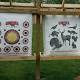 Noblesville archery range expected to attract hundreds of visitors - Indianapolis Business Journal (blog)