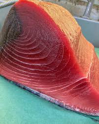 ぽっちゃりまぐろ物産| / X